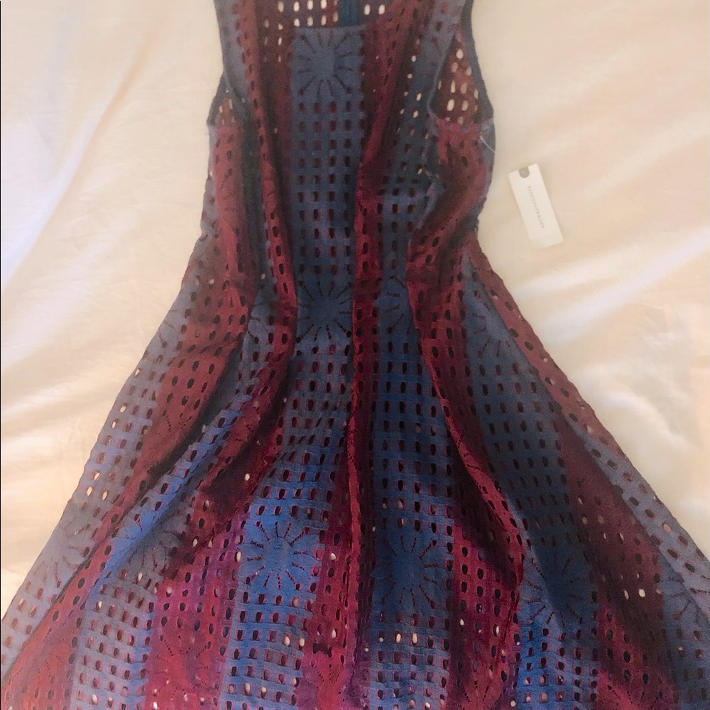 Anthropologie eyelet fit and flare dress